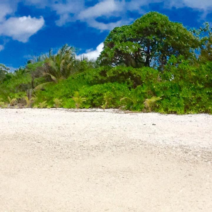 ホテルFare Maeva Moorea Teavaro 部屋 写真